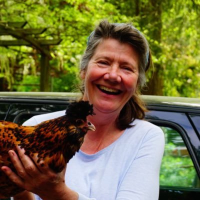 RRolinka's profile picture. Nurse. Former KLM cabin staff. Chickens. Gardening. Verpleegkundige. AIH Voormalig KLM cabine lid. Kippen. Tuinieren. AIH