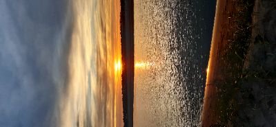 Miranda84611119's profile picture. 