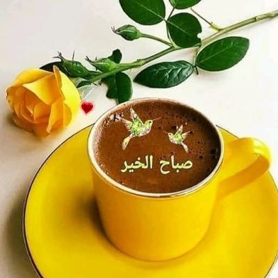 احتر تحترم👌💐