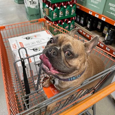 Brettweezy1's profile picture. What makes me special? I don't judge much, I like myself, and love to help lift people?