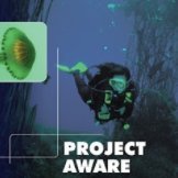 Project Aware(@projectaware) 's Twitter Profileg