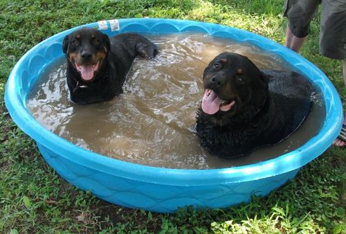 Angelscry2_'s profile picture. Used,  Abused,  Mislead,  Mistreated,  Now I Fight Back,  Always On Guard