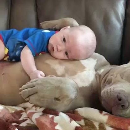 AsmaBerke's profile picture. 