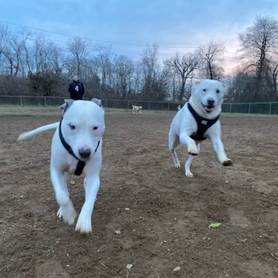 Bhans06's profile picture. 