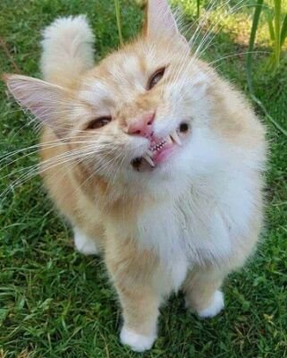 PabiSaidyjah's profile picture. I am looking good friends