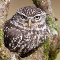Cadishead And Irlam Save The Greenbelt 🍃💚🍃 (@andirlam) 's Twitter Profile