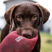 Gary Marshall (@gmarshallphotos) 's Twitter Profile