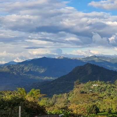 hanbuar's profile picture. Docente