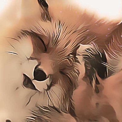おかん狐さんのプロフィール画像