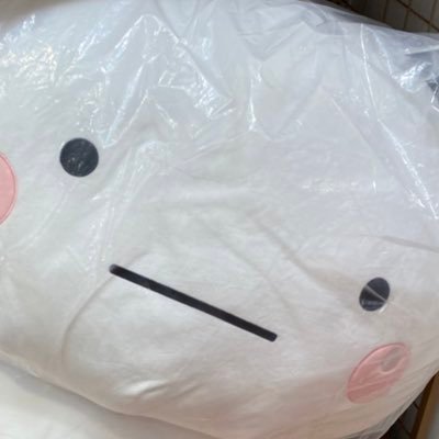 sota1115y's profile picture. うおお