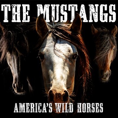 The Mustangs Film