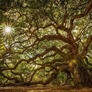 MaxFields210's profile picture. 22 year old just started using twitter