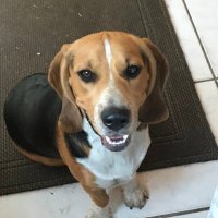 Loving Life (@smilesforfree) 's Twitter Profile