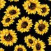 🌻Sunflower🌻 (@sunnflower_girl) Twitter profile photo 🌻Sunflower🌻 (@sunnflower_girl) Twitter profile photo
