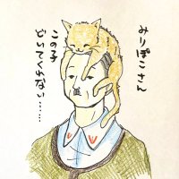 みりぽこ (@miri_jonta) 's Twitter Profile