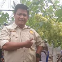 Dinas Pertanian Ketahanan Pangan Kota Palu(@tikno_palu) 's Twitter Profile Photo