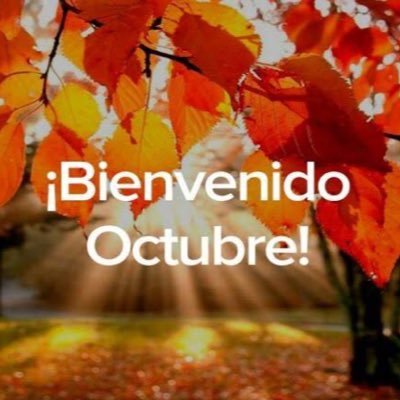 SeductorVergel's profile picture. soy el placer