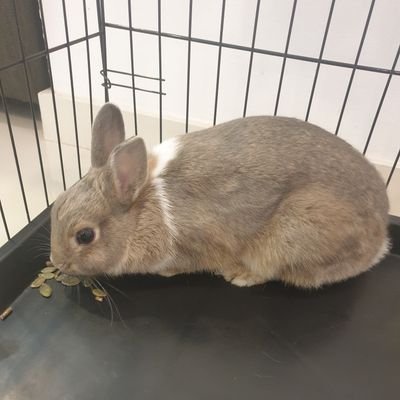 selfimage620's profile picture. 