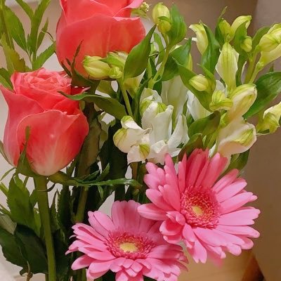 luise88888's profile picture. 真実は自分の中に。至高のタイムラインに居ます。悪夢は終わり完全なる調和が実現します。迷えるときは引き算をしましょう。リンク先はバイオレットフレーム瞑想🌐