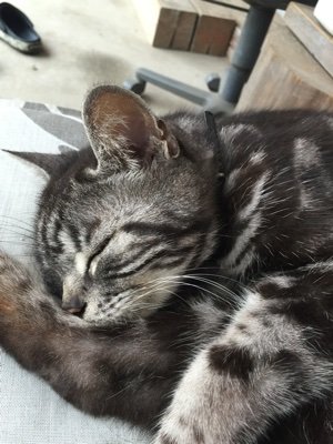 GoldRush0892's profile picture. 