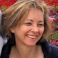 Lisa Lamb (@lambstrategy) 's Twitter Profile