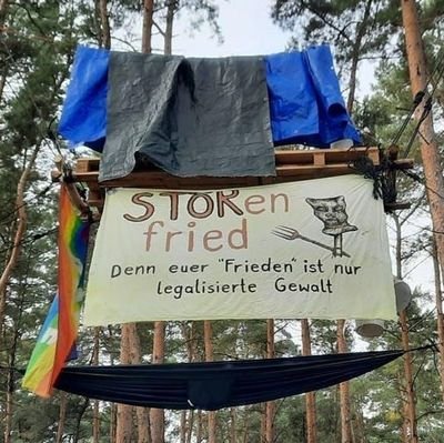 Störenfriede Im Storbecker Forst
#keineA14inderNachbarschaft