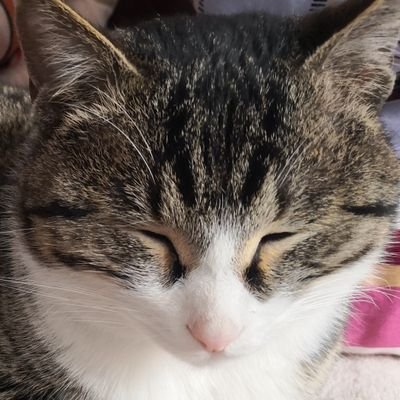 Fa1z6's profile picture. 
