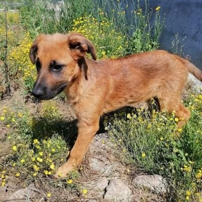 erwin0012's profile picture. loves to play poker.