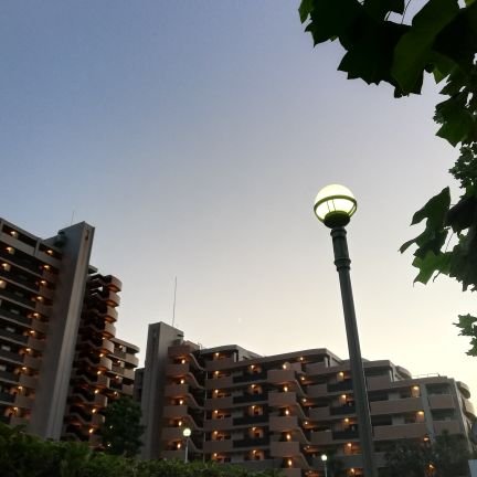 VSCcFoWnl0i5l6H's profile picture. 夜な夜な詩などを詠むきのこ