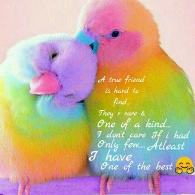 technew97528539's profile picture. 