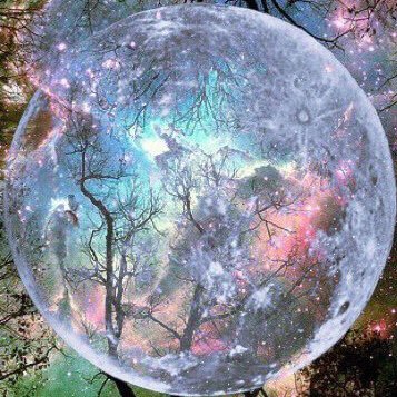 kirei33550336's profile picture. 