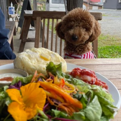 bach36B's profile picture. ニート ミート