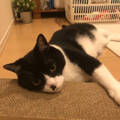 Kaz01110322's profile picture. 