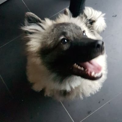 marcin_zaczyk's profile picture. #montageservice_marcin
#Allgeu