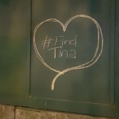 Geordievintage's profile picture. helping animals to find their way home