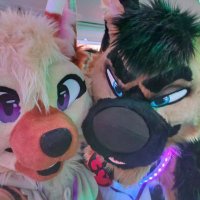 🔥That Emo Skunky Shep🔜LVFC, FWA (@skunkerpuppy) 's Twitter Profile