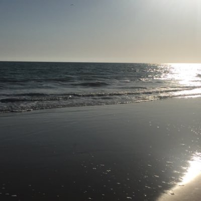 leostcaro's profile picture. 