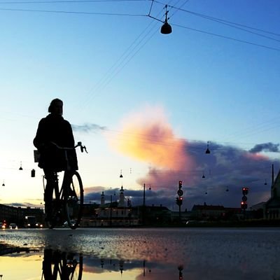 放射線科医師。趣味は論文執筆(する)&リジェクト(される)。術前術後画像と救急画像が好き。カンファレンスと救急外来に呼ばれるのが嬉しい。だけど主治医として患者は持ちたくない口だけ医。天網恢恢疎にして漏らさず、でありたい。