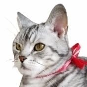 アルフォンス所長 【アル松】 (@alfons226) Twitter profile photo