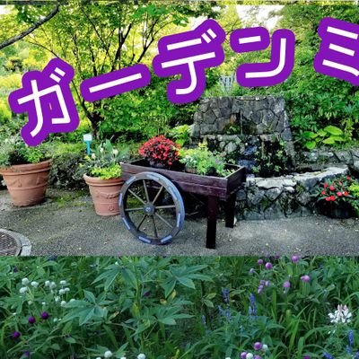 はじめまして～無言で失礼ですが仲良く宜しくお願いします♡
🍀フォローの方々ありがとうございます
🍀趣味はお家でガーデニング&旅をする事です
🍀youTubuやってます～🍃植物🌺お花が大好きな方 & ✈ 旅が大好きな方是非チャンネル登録して植物や旅先の楽しみ方見つけましょう👋こちらは日本旅行のチャンネルです↓