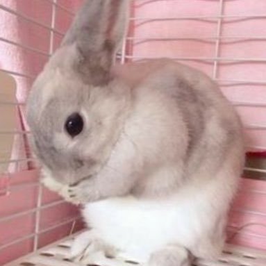 flop eraさんのプロフィール画像