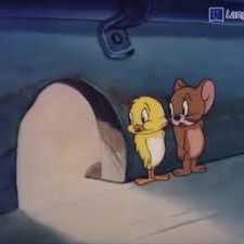 shippo_buruaka's profile picture. ゲーム垢　最近はトムとジェリーにハマってる