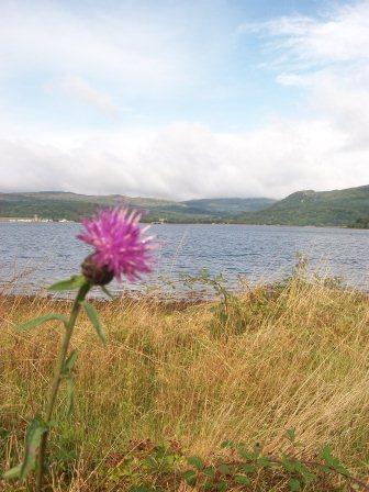 MegMac92's profile picture. 