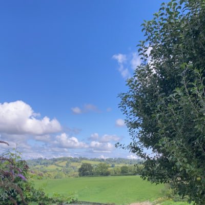 helloseptember1's profile picture. 