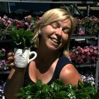 Bumpstead Herbs (@leighshepherd1) 's Twitter Profile