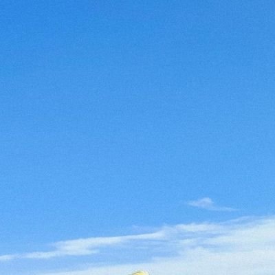 交換用とお取引用🐿🐧 本垢提示可。 (お取引終わりましたらポスト削除します。)