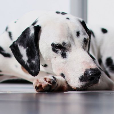 aroytfgdko's profile picture. 主にROM/ウォッチ用