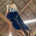 お (@ta73go) Twitter profile photo お (@ta73go) Twitter profile photo