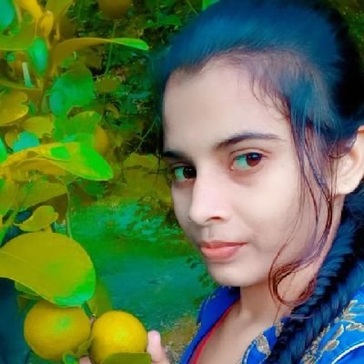 AnkitKu87822316's profile picture. Study