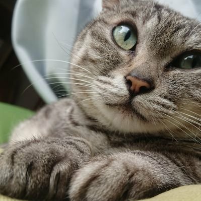 成人済 内容ジャンル雑多(リツイ・ファボ過多)のためフォロー非推奨 腐 お別れはB→解よりRだと助かります。⚠️Φブレツイのリツイ多めですのでジャンル外の方ご注意下さい⚠️
🦋:https://t.co/5Nn7QfGy0w
無理のないオタ活を思案中